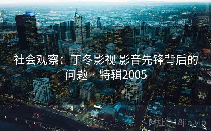 社会观察：丁冬影视 影音先锋背后的问题 · 特辑2005
