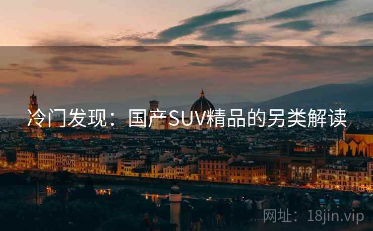 冷门发现:国产SUV精品的另类解读