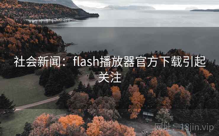 社会新闻:flash播放器官方下载引起关注